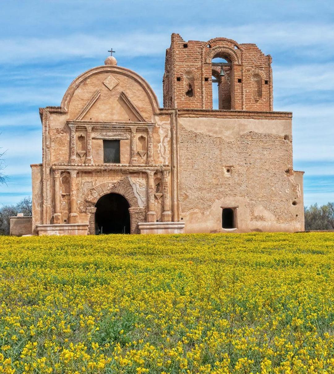 Old brick church in a yellow flower field under a blue sky.