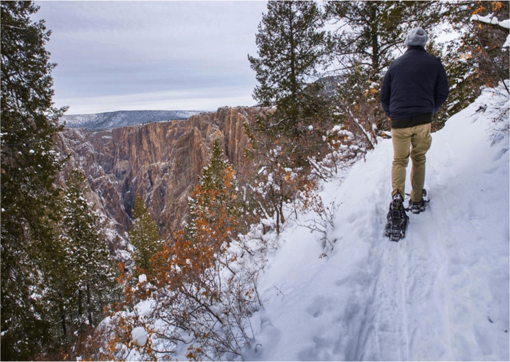 Person snowshoeing on a snowy trail beside a view of Black Canyon of the Gunnison National Park. The person is surrounded by trees.