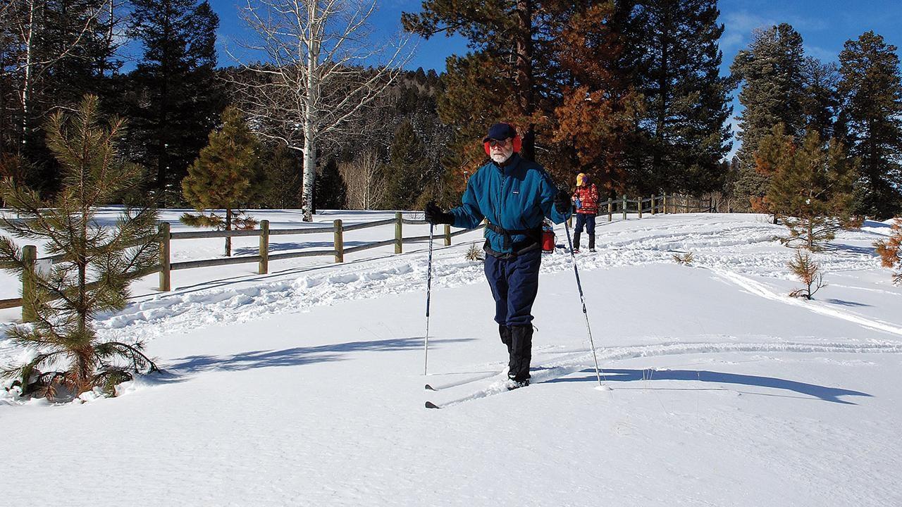 Two people cross-country skiing on a sunny, snowy trail with trees in the background.