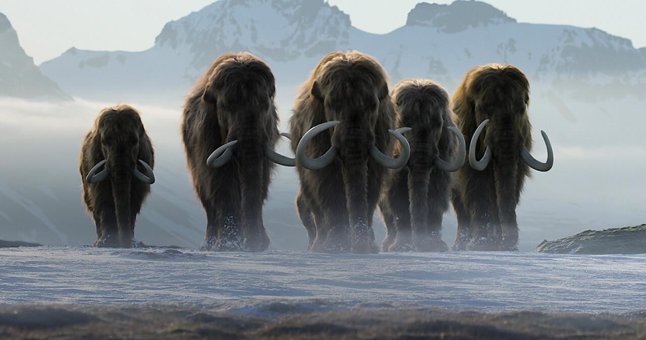 Woolly mammoths walking in a snowy landscape with mountains in the background.