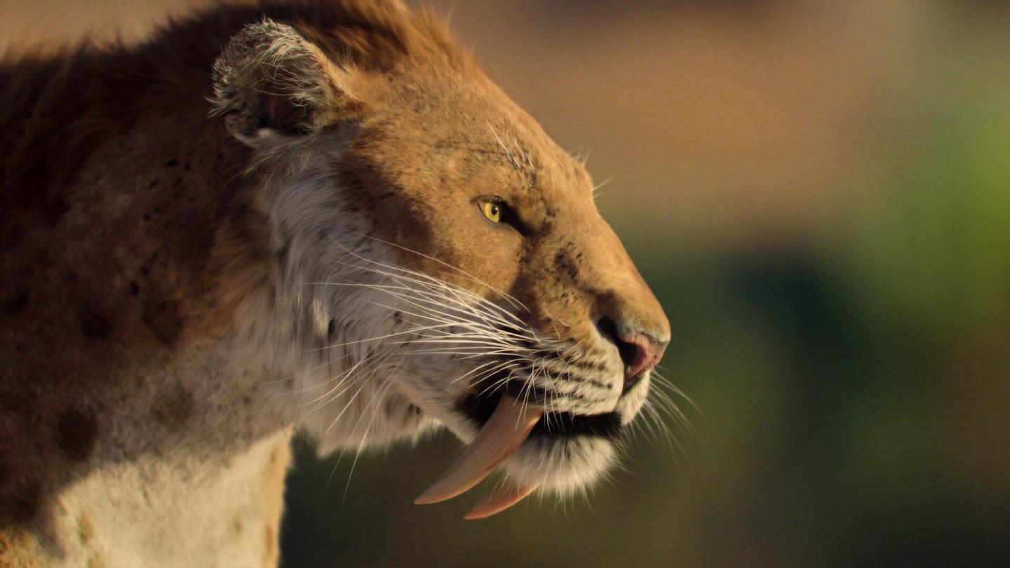 Saber-toothed cat with long fangs, side profile, blurred background.