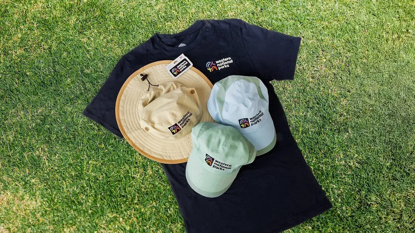 Black T-shirt with caps and a hat placed on grass.