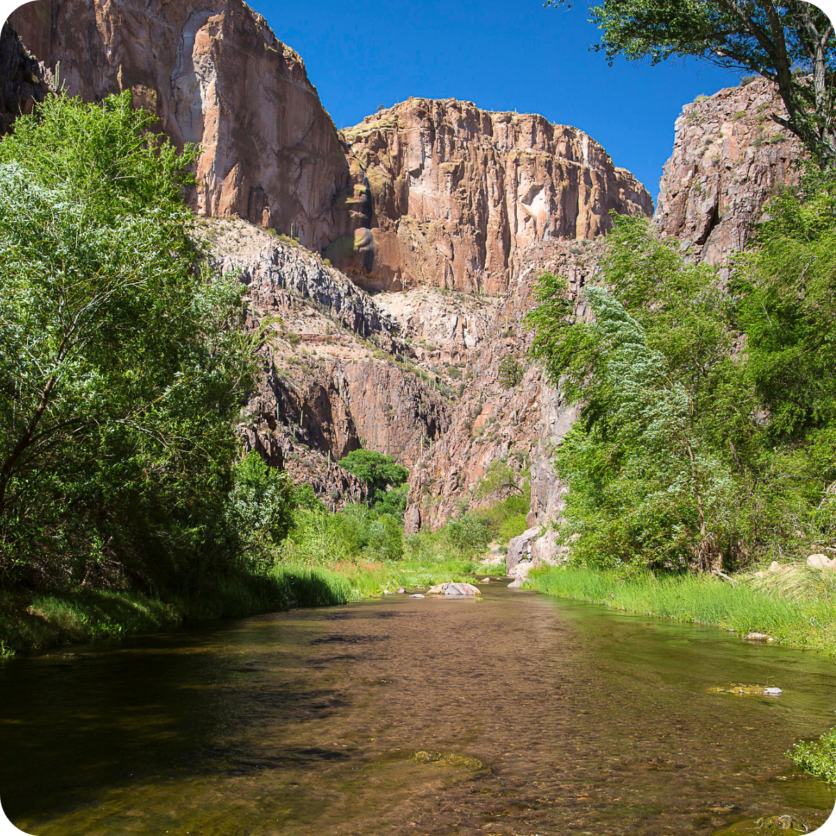 Clear stream with lush greenery, rocky cliffs, and blue sky.