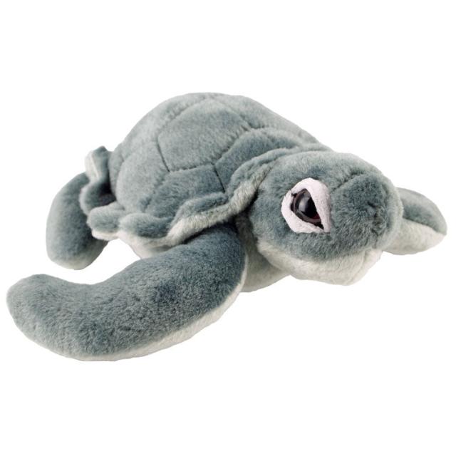 Kemp's Ridley Turtle Plush Toy image