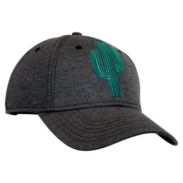 Saguaro Cactus Cap image