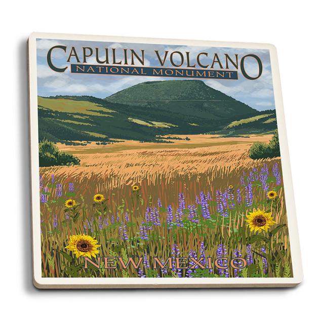 Capulin Volcano National Monument Coaster - Flowers image
