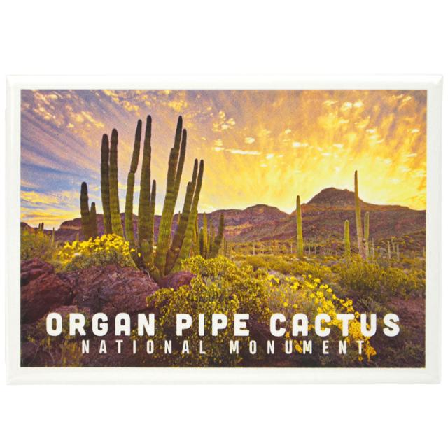 Organ Pipe Cactus National Monument Magnet - Sunset Photo image