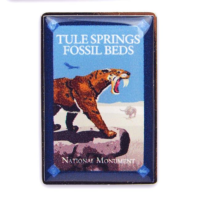 Tule Springs Fossil Beds National Monument Pin - Rectangular Logo image