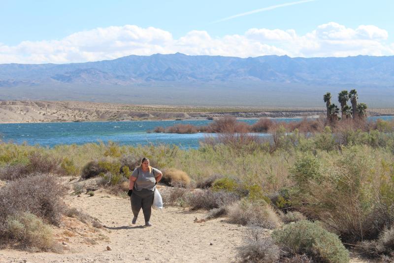 Volunteer removing trash from the shoreline