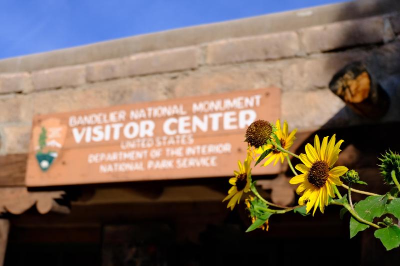A bright yellow bunch of sunflowers stand out against a blurry stone building in the background.