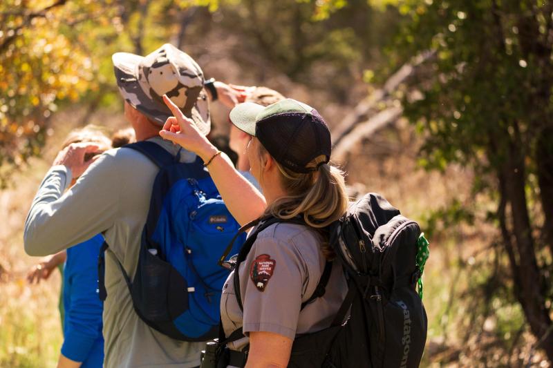 ranger points while people with binoculars gaze into trees