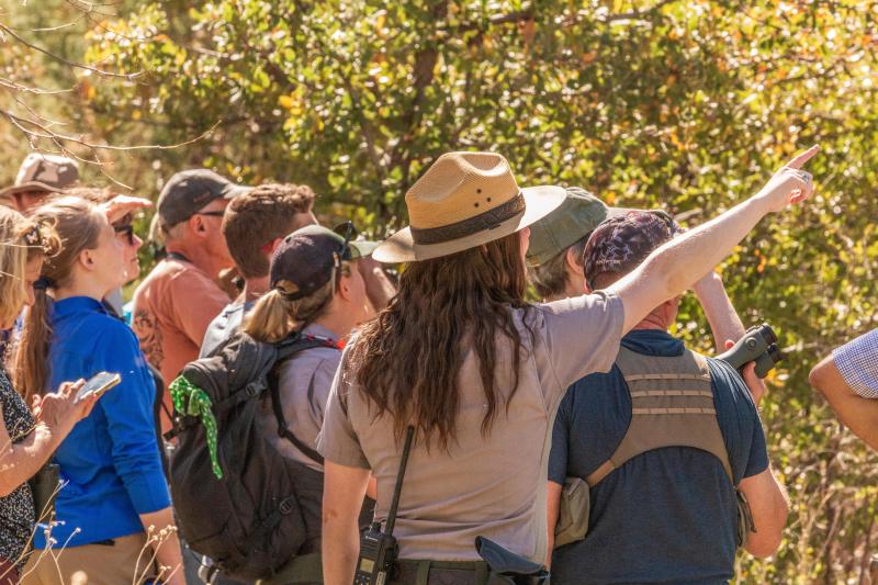 groups of people stand looking into the trees while a ranger points in the foreground