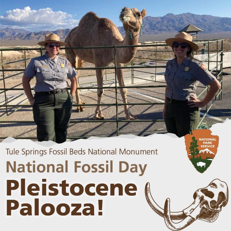 Two park rangers pose with a camel. Text with event name, NPS logo, and mammoth skull drawing.