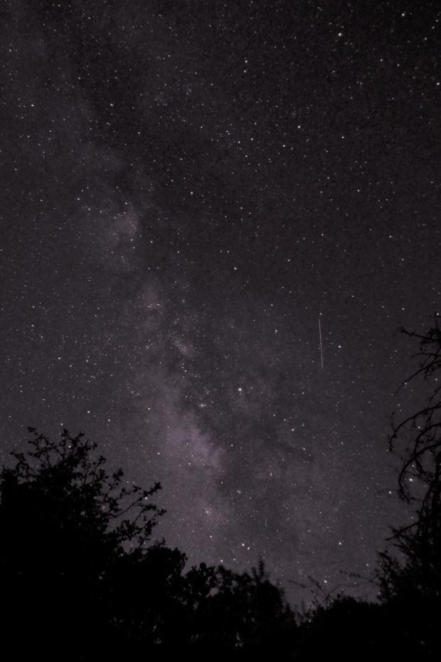 Night sky with the Milky Way centered in the frame.
