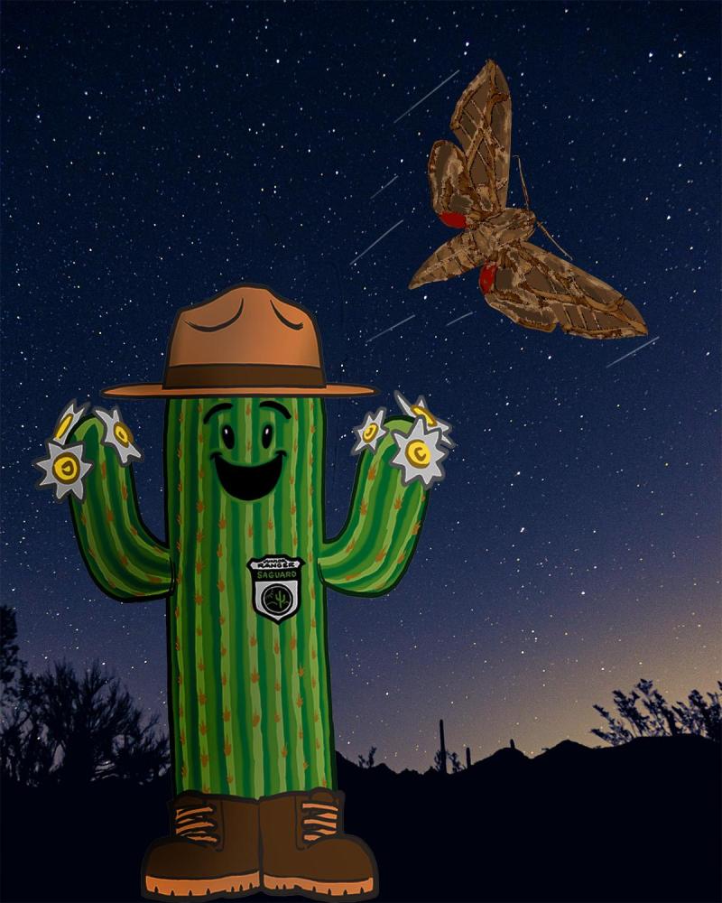 night sky scene with illustrated moth and smiling Sunny the Saguaro in foreground