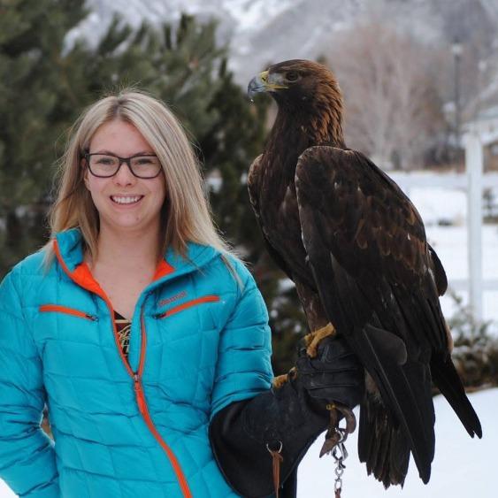 A woman holds a large brown bird of prey, a golden eagle, in a gloved hand.