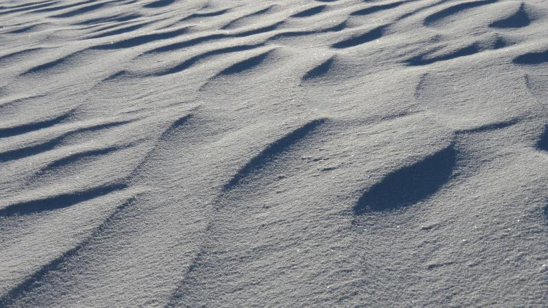 ripples in white sand
