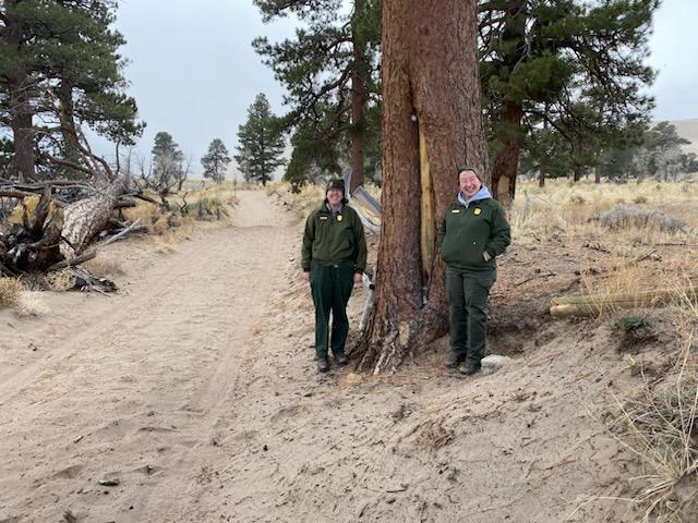 Two rangers dressed in green uniforms stand in front a a large tree trunk