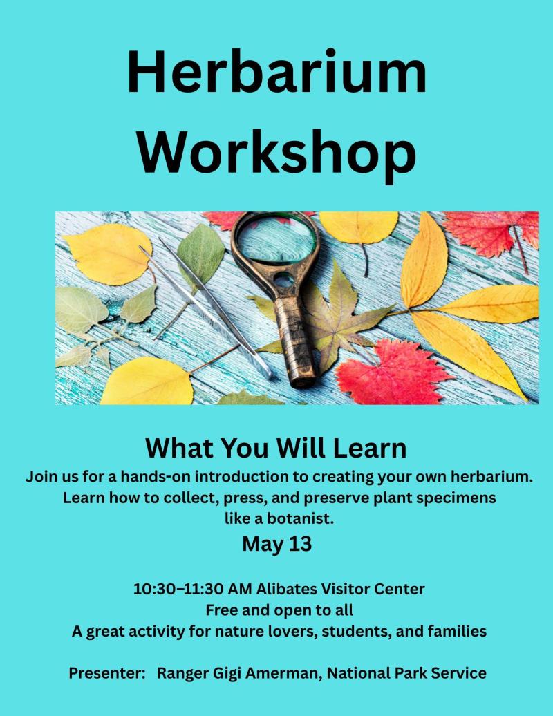 Herbarium Workshop
