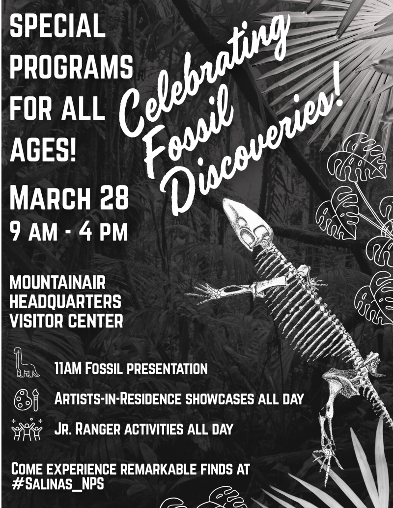 White text describing times for an event. A fossil is depicted in the foreground.