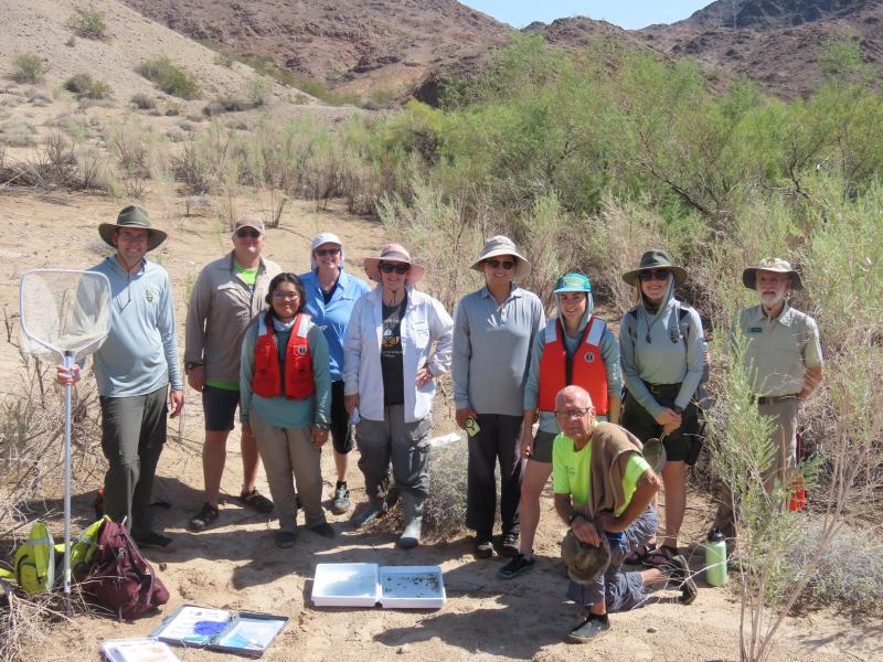 Group of volunteers stand near a pond