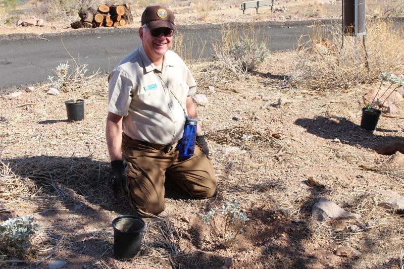 Volunteer kneeling next to a plant, smiling