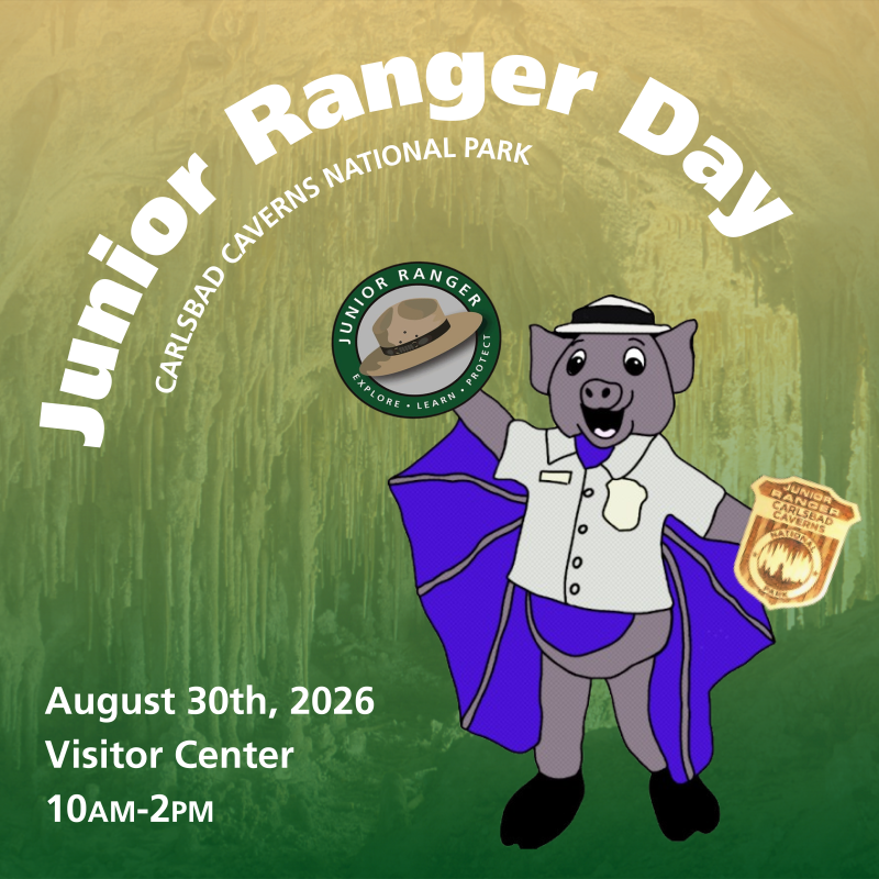 a flyer that says Junior Ranger Day with Carlsbad Caverns national Park underneath it. The flyer has