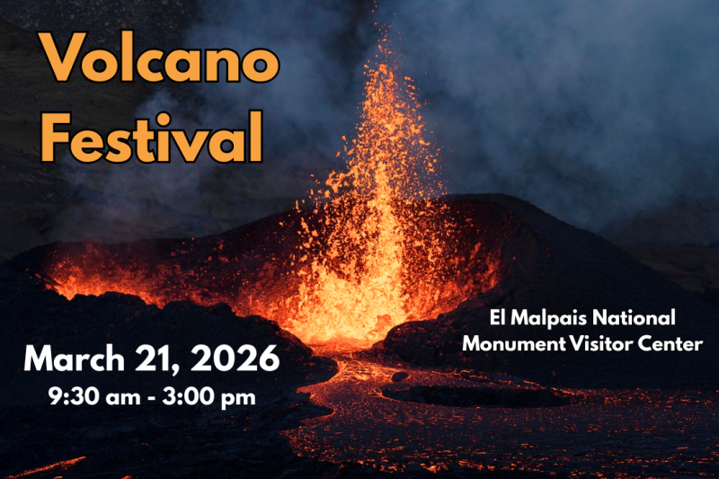 Bright orange lava fountain emerges from a fissure. Text reads "Volcano Festival."