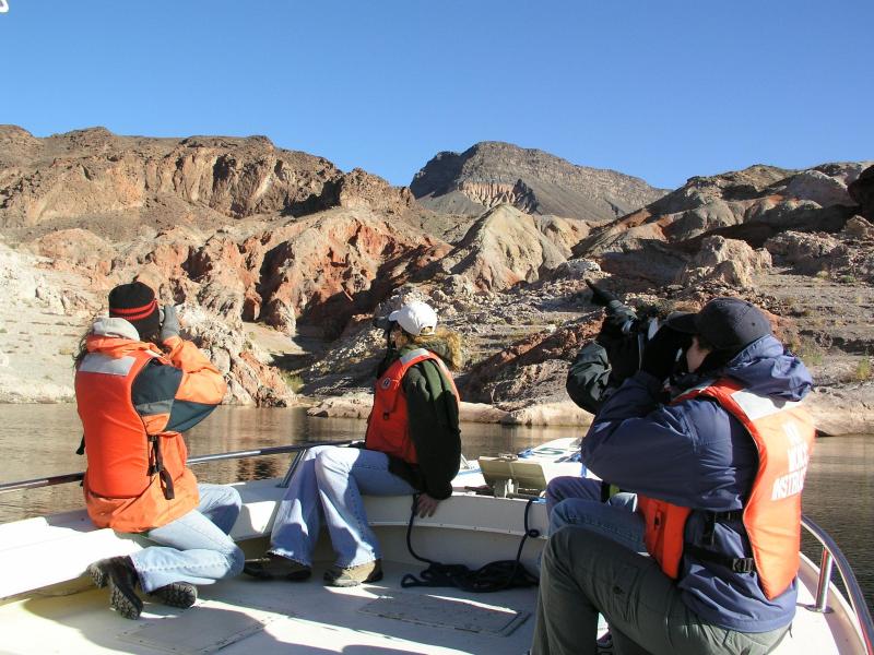 Volunteers using binoculars to look for eagles
