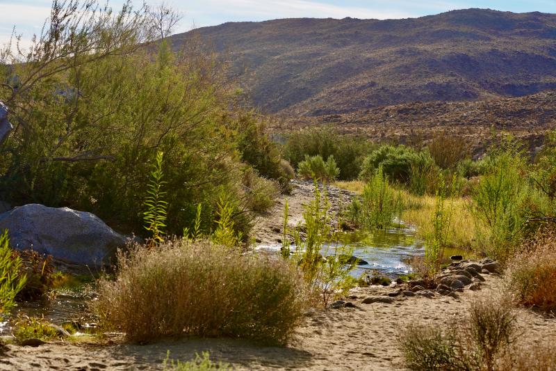 A small creek runs through a desert brush landscape with low hills