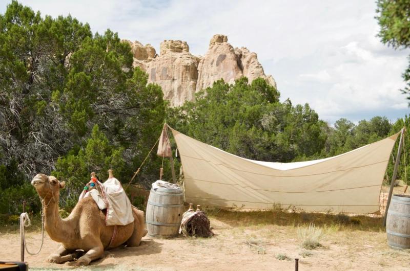 A camel sits on the ground in front of a canvas tent, juniper trees, and large cliff.