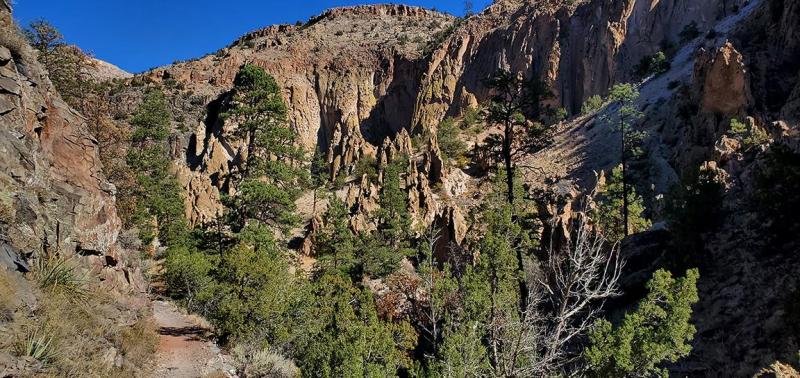 A canyon landscape is filled with tall pines trees and scraggly juniper trees amongst steep, isolate