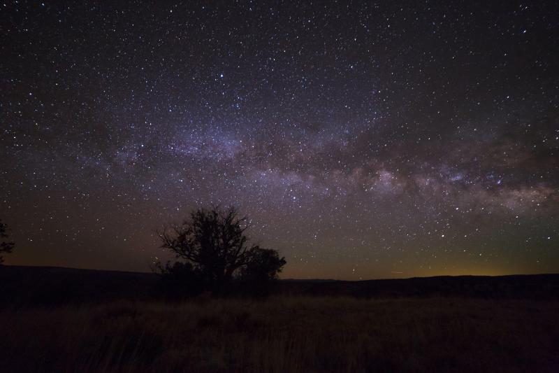 The Milky Way with a tree.