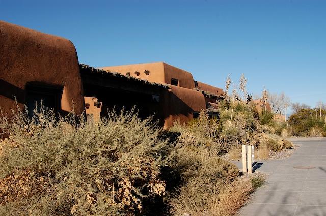 Orange stucco building with native plants in foreground