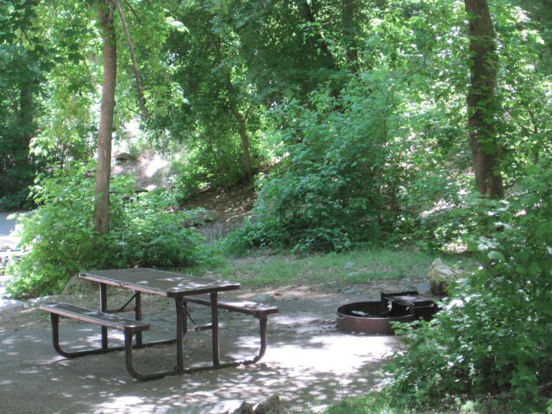 Contained fire pit and brown picnic table surrounded by green trees