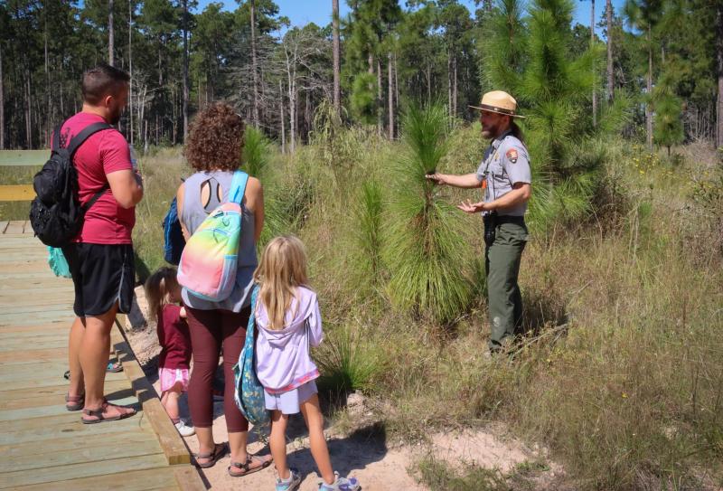 A park ranger talking to a family about longleaf pine trees while standing beside a young pine tree.