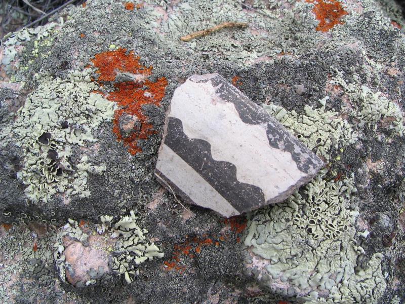 A broken piece of black and white pottery on a rock with orange and green lichen.