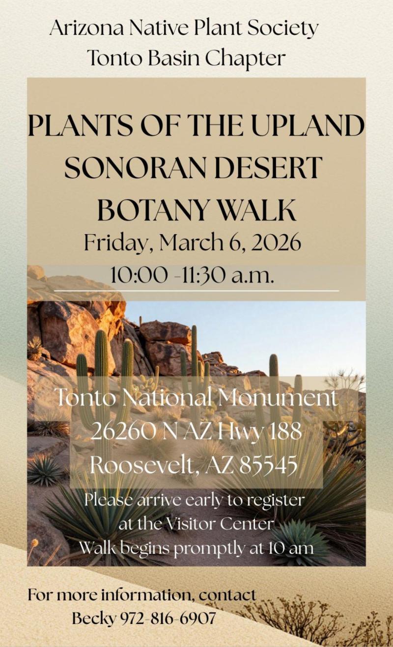 Sonoran desert plants on a hillside below sandstone cliffs.