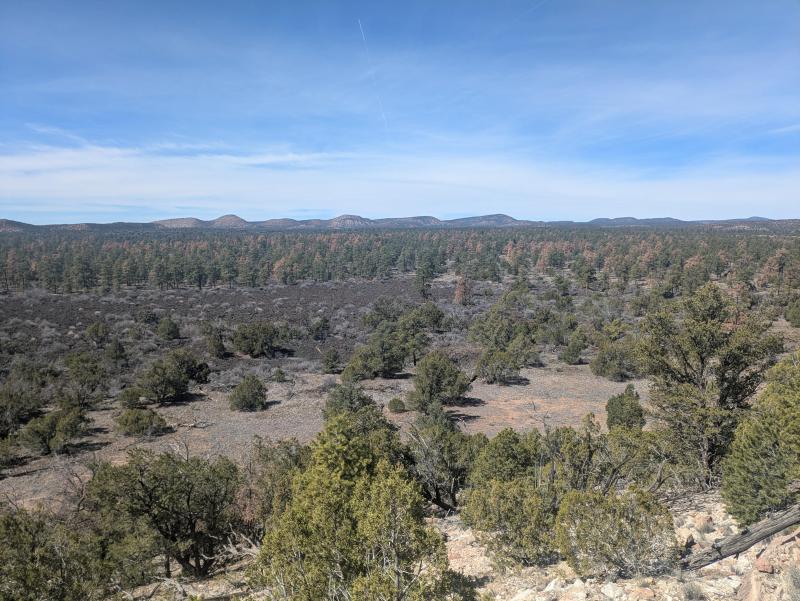 landscape view of rolling hills in background; a rugged lava flow in midground; trees in foreground
