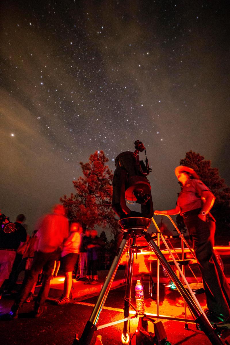A park ranger stands next to a large telescope while looking up during a night sky event.