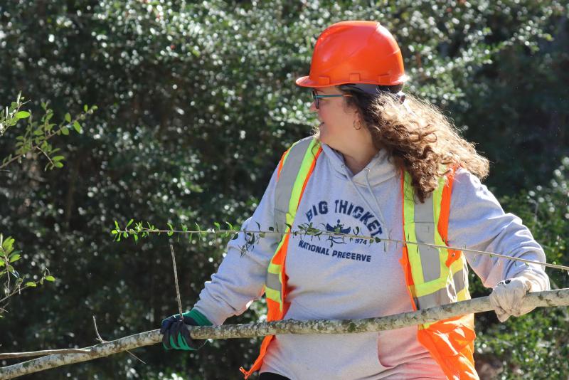 A woman in bright orange safety vest and helmet pulling a large branch from a wooded area.