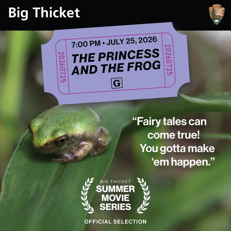 Big Thicket Summer Movie Series. 7 pm, July 25. The Princess and the Frog. Rated G. Frog on leaf.