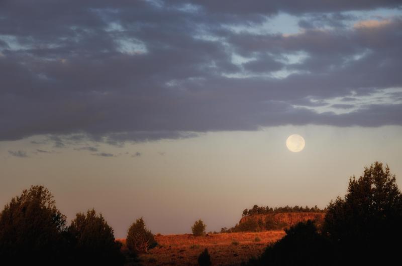 Full moon over trees and mesas