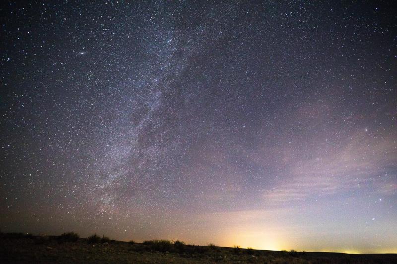 a picture of the milky way with desert flora in the foreground