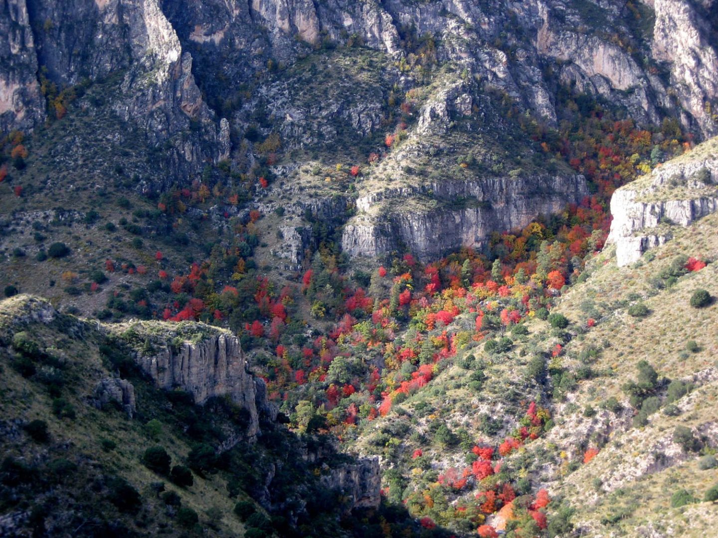 Red, green, and yellow trees seen from a distance cover slopes below rocky cliffs.
