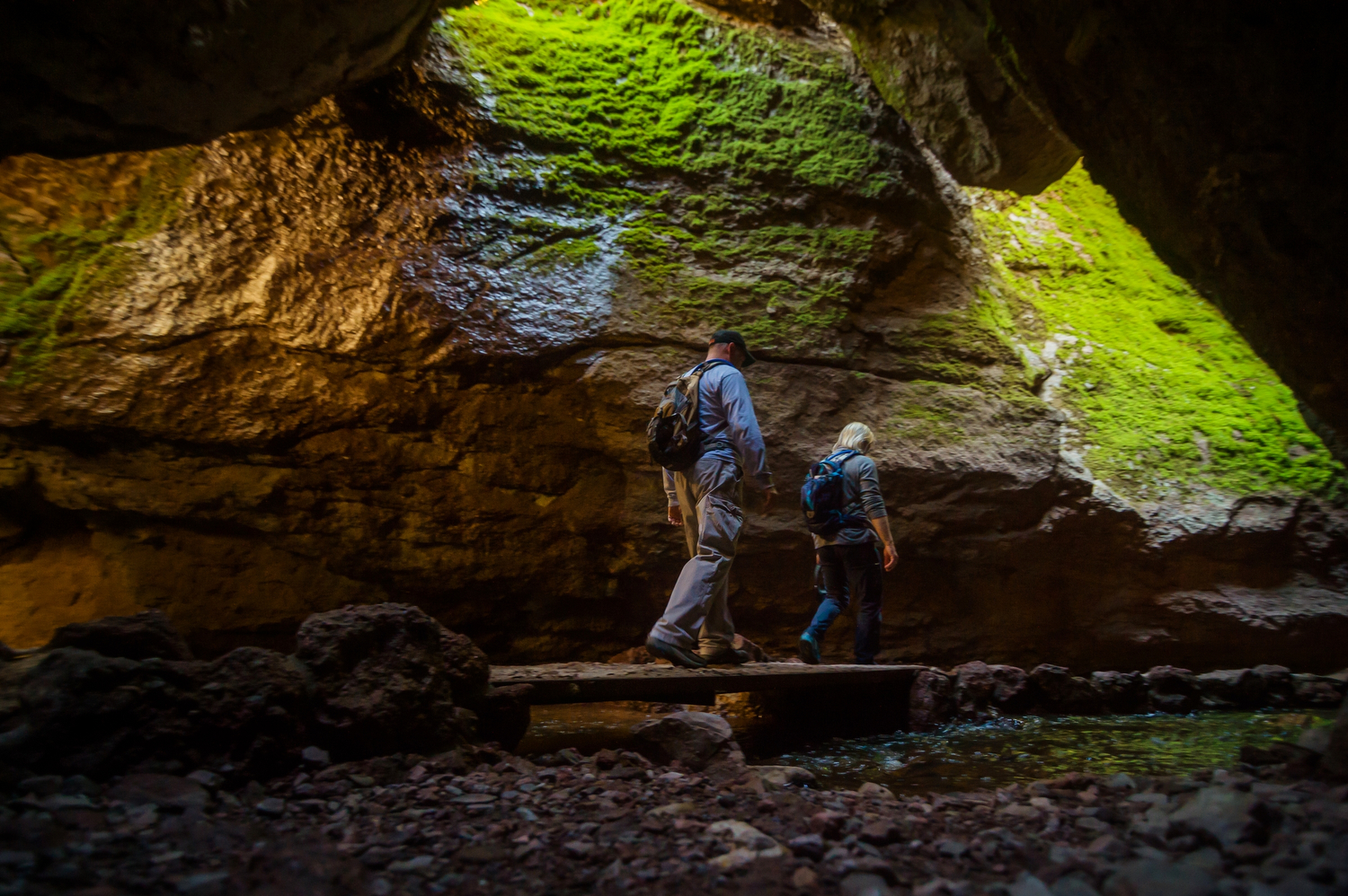 Two hikers walk through mossy cavern trail