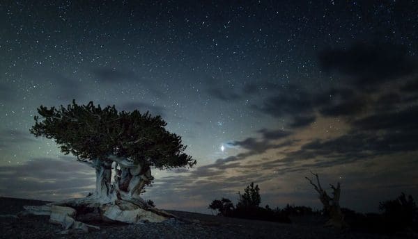 twilight view at Great Basin National Park, Nevada.