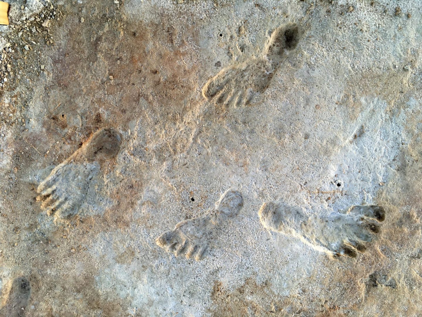 Close-up footprints at WHSA