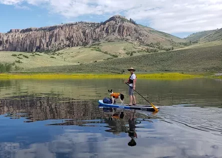 BARK Ranger dog on a paddleboard on a lake at Curecanti National Recreation Area