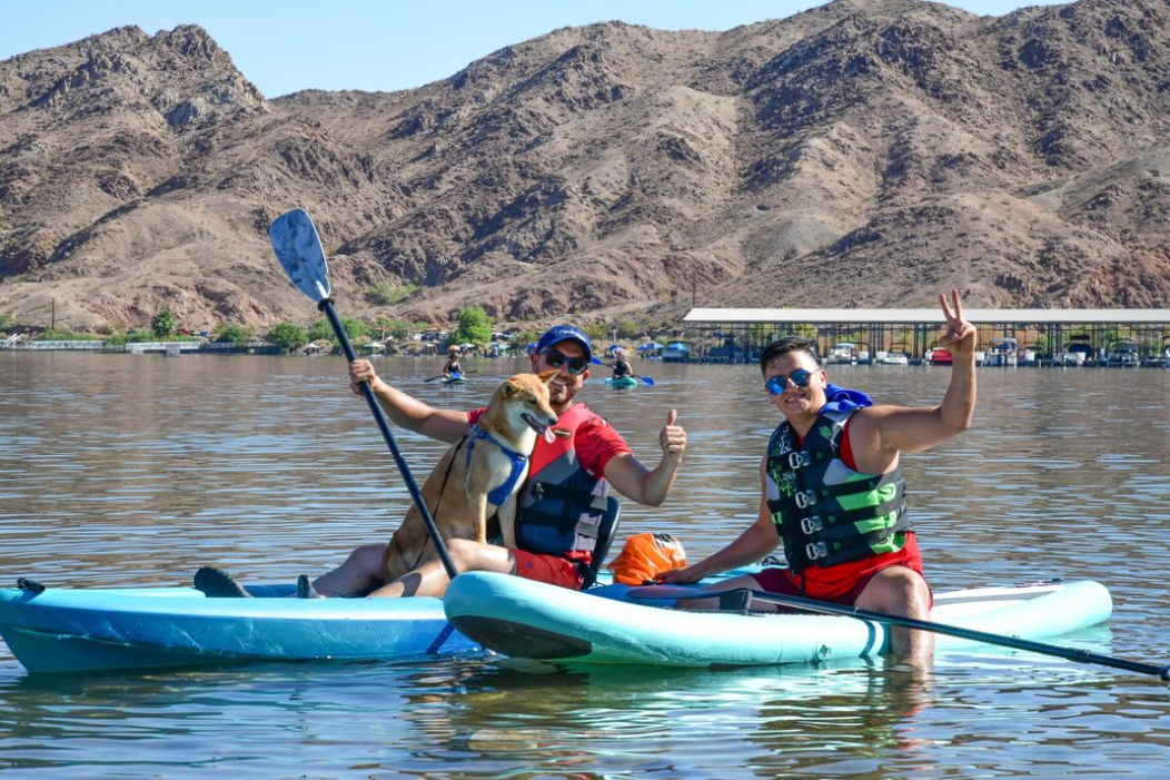 Dog takes a ride with two canoers on Lake Mead